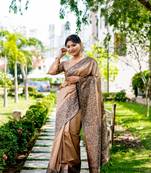 Chiku Handloom Silk Blend Weaving Saree Festive Wear