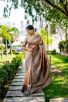 Chiku Handloom silk blend Blend Weaving Saree Festive Wear 3