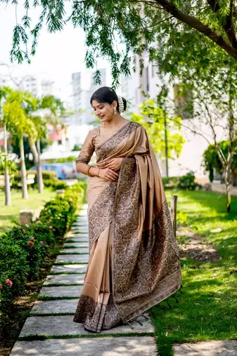 Chiku Handloom silk blend Blend Weaving Saree Festive Wear