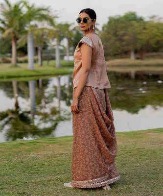 Beige tissue floral jaal work pre-draped saree set 3