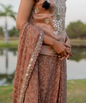 Beige tissue floral jaal work pre-draped saree set 5