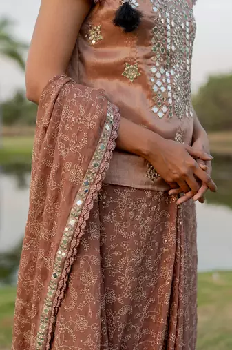 Beige tissue floral jaal work pre-draped saree set