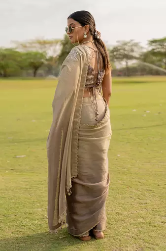 Silver tissue embroidered saree set