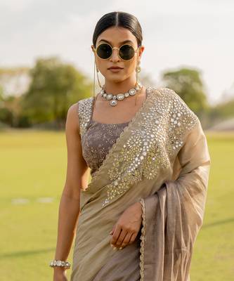Silver tissue embroidered saree set 4