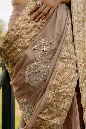 Beige tissue embroidered saree set