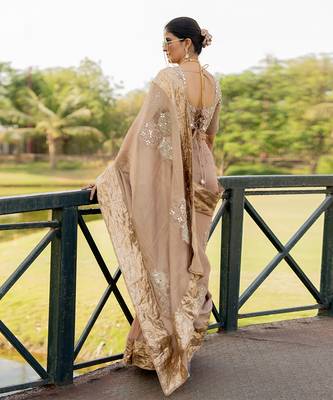 Beige tissue embroidered saree set 5