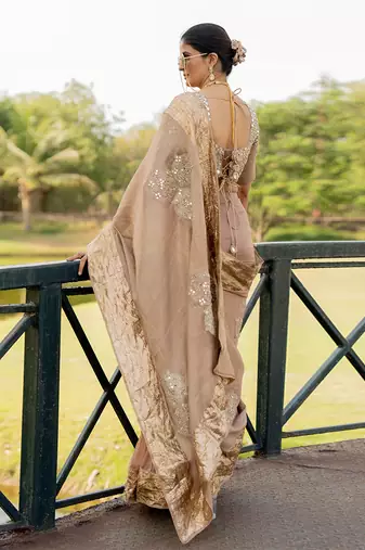Beige tissue embroidered saree set