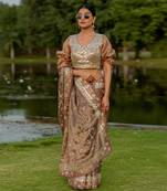 Brown tissue embroidered saree set
