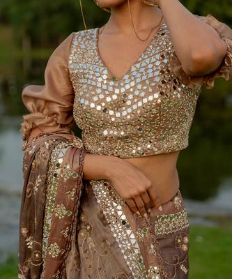 Brown tissue embroidered saree set 4