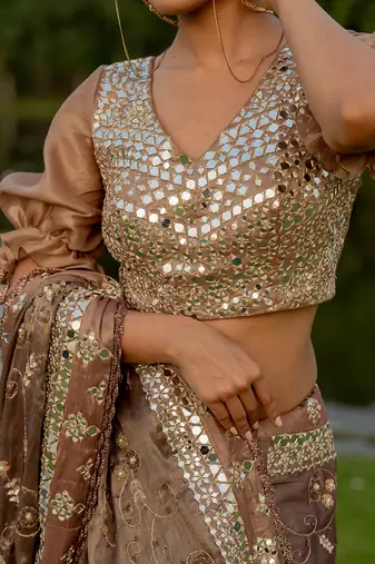 Brown tissue embroidered saree set