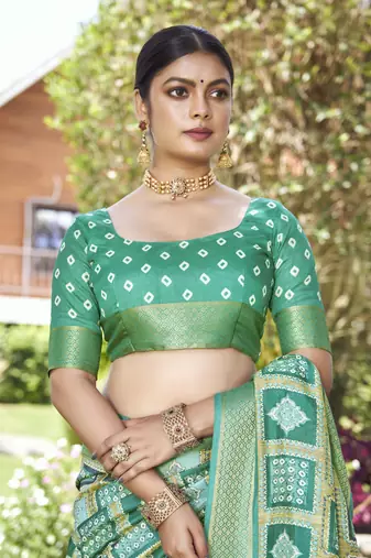 Woven Border With Printed Rama Kalamkari silk blend Ethnic Partywear Saree