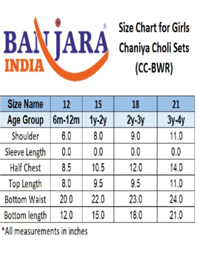 Banjara India Kutchi EmbroideGreen Girls Chaniya Choli with Dupatta (CC-BWR) - Green 5