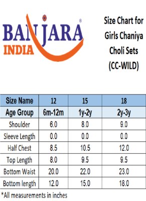 Banjara India Kutchi Embroidered Girls Chaniya Choli with Dupatta (CC-WILD) - Orange 5