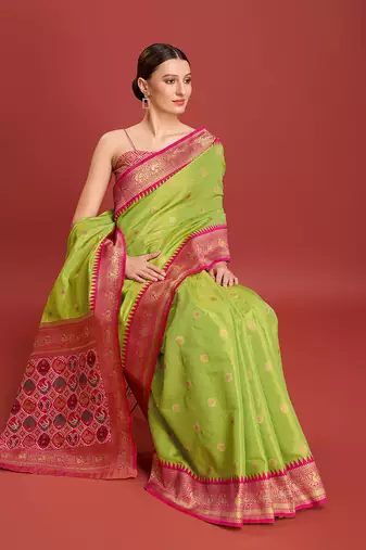 Parrot Green Patola Pallu Tissue silk blend Saree