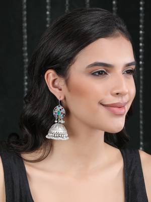 Elegant oxidised multi colour earring set 1