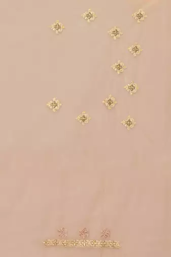 Beige Zari Embroidered Stone Border Net Saree With Matching Blouse Piece