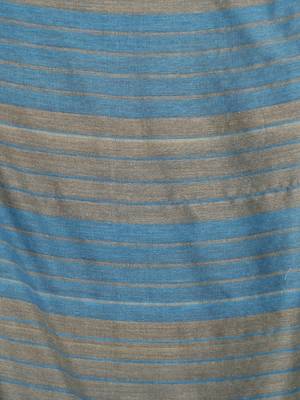 Beige  cotton saree with sequine work 4