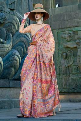 Cream Handloom Organza Handloom Kashmiri Jacquard Woven Saree With Blouse 1