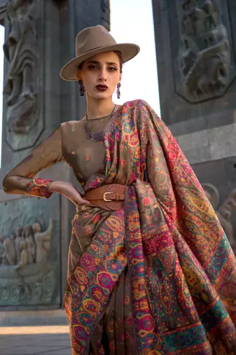 Lightcoffee Handloom Organza Handloom Kashmiri Jacquard Woven Saree With Blouse