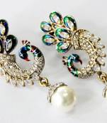 Beautiful Peacock Hangings