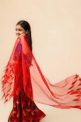 Flared sharara with top, dupatta 4