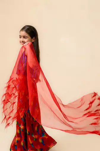 Flared sharara with top, dupatta