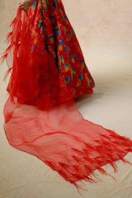 Hand embroidered lehenga with ruffle blouse and feather dupatta 4