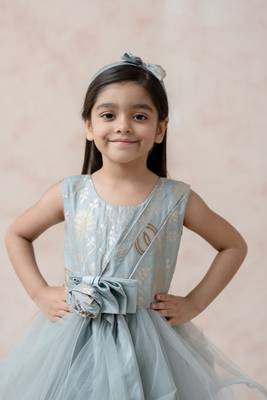 Mist greyish blue brocade silk ruffled net gown 3