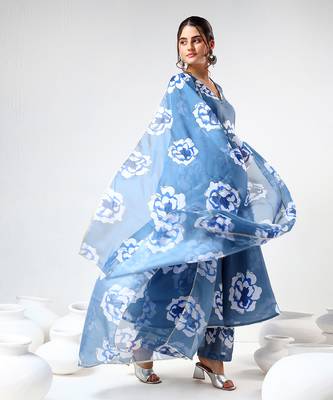 Powder blue carnation organza anarkali set 3