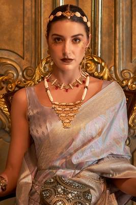 Grey Silk Designer Border And Pallu With Blouse And Saree For Women 3