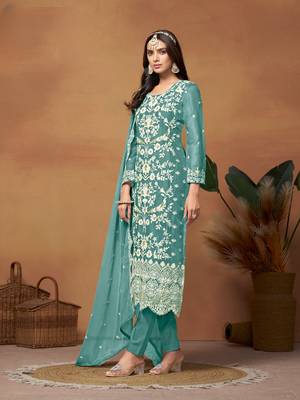 Sky blue embroidered soft organza semi stitched salwar suit 2
