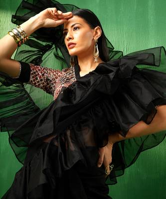 Adaa black organza ruffle saree 3