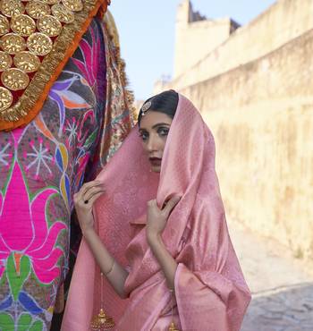 Pink kanjivaram silk blendGold Zari Weaving Border And Rich Saree With Blouse For Women 2