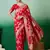 Red Ethnic Woven Staple Dola Cotton c Festive Season Saree