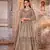 Light brown embroidered net semi stitched anarkali suit