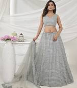 Fusionic silver embroidered net lehenga-choli with blouse