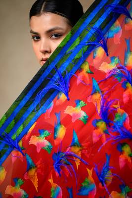 Hand embroidered blouse with Saree 4