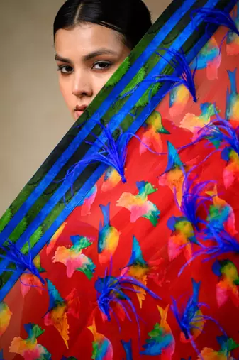 Hand embroidered blouse with Saree