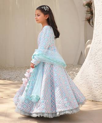 Mirror embroidered anarkali 2