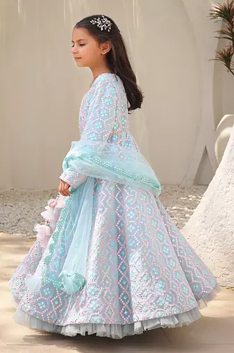 Mirror embroidered anarkali