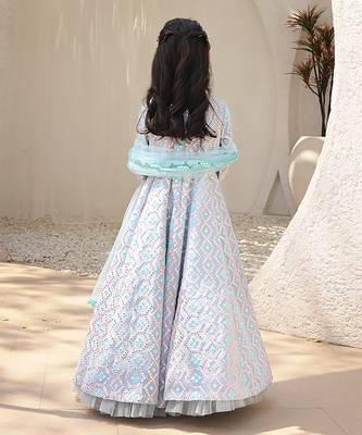 Mirror embroidered anarkali 3