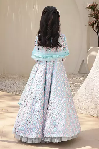 Mirror embroidered anarkali