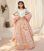 Peach embroidered choli with lehenga