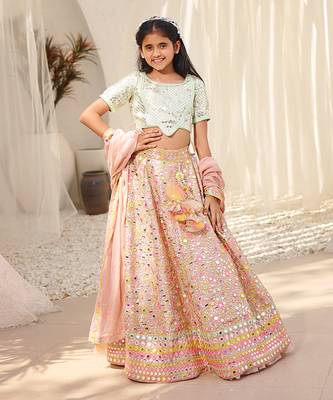 Peach embroidered choli with lehenga 2