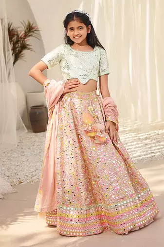Peach embroidered choli with lehenga