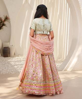 Peach embroidered choli with lehenga 3