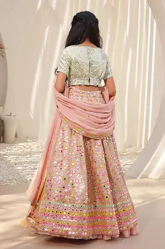 Peach embroidered choli with lehenga