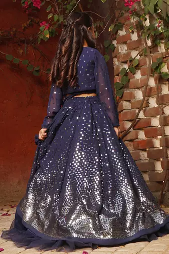 Blue embroidered lehenga choli set