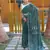 Green Classic emboidary border silk bland weaving saree with Blouse