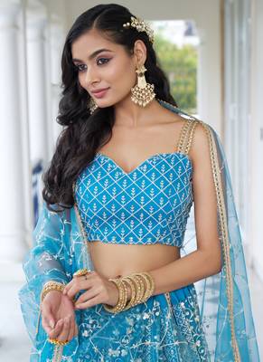 sky blue Butterfly Net Embroidery Thread Designer Lehenga 3